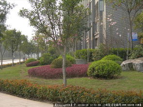 校園景觀集錦 從實景照片到設(shè)計施工圖紙的全景解析